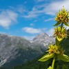 「きのう何食べた？」のロケ地に