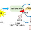 侵害受容性疼痛の神経生理学を理解する