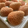 クローゼットへ仲間入り