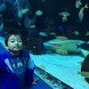 アトランタ旅行2日目　水族館とコカ・コーラ博物館