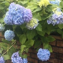 くろママの福岡ドライブ食べ歩き