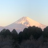 今朝の景色