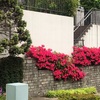 田沼武能写真展（世田谷美術館）