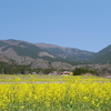 【登山】春を感じる那岐山