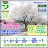 ［中学受験］【算数】［う山先生・分数問題］【う山先生からの挑戦状】その５４