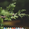 elementaryOS をインストールしてみる