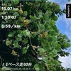 8月30日日曜日　Eペース走90分