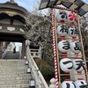 春の湯島天満宮