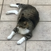 暑い夏にも，少しだけいいことも