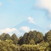 今朝の景色