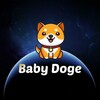 Baby Doge Coin が💲0.01になる夢を見た❗❗