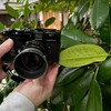 M3とSummicron 50mm f2にモノクロフィルムで流山の光明院と赤城神社へ行ってきた