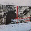 青森県立美術館に鴻池朋子展「メディシン・インフラ」を観に行ってみた。（青森市安田近野）