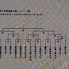 平成30年度千葉県大学野球新人戦