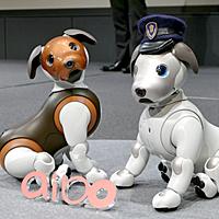 犬のおまわりさんとは 音楽の人気 最新記事を集めました はてな 犬のおまわりさんとは 音楽の人気 最新記事を集めました はてな