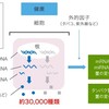 リスキー シフトとコーシャス シフト 浮動点から世界を見つめる リスキー シフトとコーシャス シフト 浮動点から世界を見つめる