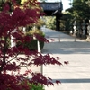 【月曜日恒例】今日は散々な夕方でした【田村神社】