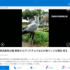 １２月２２日（木）半年に一回の定期検査に異常は無かった、鳥インフルエンザが猛威を振るってる、ＰＨＰプレミアム平成３０年