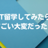 IT留学してみたらすごい大変だった