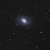 しし座の銀河M96