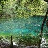 遊佐町　丸池様の歴史と史跡をご紹介！🏞️