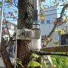 アンテナマウント崩壊