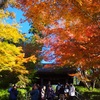 晩秋の鎌倉散策 2019 (円覚寺～浄智寺～長寿寺～鶴岡八幡宮～稲村ヶ崎)