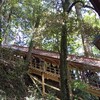 奈良へ。川と神社の旅④