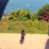 くすぐっていますか？