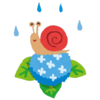 ライダーにとっては耐え忍ぶ1ヶ月！？雨雲レーダーと睨み合う季節の件