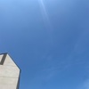 出てくる出てくる👍