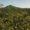 三瀬峠から金山へ