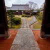 京都・鷹峯 - 源光庵の山茱萸