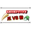 ポケモンSVの乱数固定バトルのせいでせんせいのつめとひかりのこなの最強争いが始まる