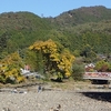 日和田山の紅葉
