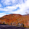 紅葉名所「母成峠」
