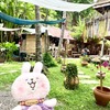 ルアンパバーンの緑豊かで静かな”フアンチャン歴史博物館”でゆっくりのんびりお散歩