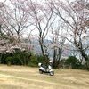 さくら　咲く　桜、