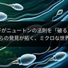 精子がニュートンの法則を「破る」？京大教授らの発見が拓く、ミクロな世界の新技術