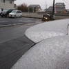 銀杏散る雪の朝