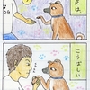 愛犬コロちゃん１４