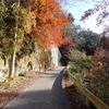 658. 忘年登山・猪の川渓谷