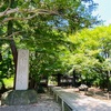 【松戸市の隠れ名所　北小金　東漸寺】枝垂れ桜　あじさい　紅葉