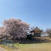 丸山古墳  栃木市田村町