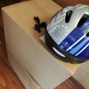 【秘宝】ホンモノの宝箱ゲットしたったWWWWWWW