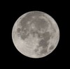 満月「スタージョンムーン」