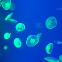 福岡せどり、独立支援ブログ