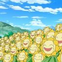 満開のひまわり畑