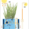 植物＋微生物＋水＝電気