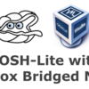 BOSH-Lite in VirtualBox with Bridged Adapter for remote access